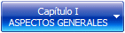 Capítulo I
ASPECTOS GENERALES