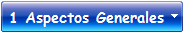 1 Aspectos Generales